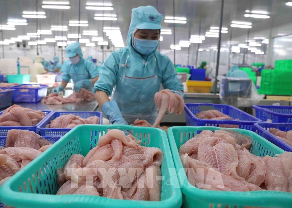 Triển vọng cho xuất khẩu thủy sản cán đích 9 tỷ USD