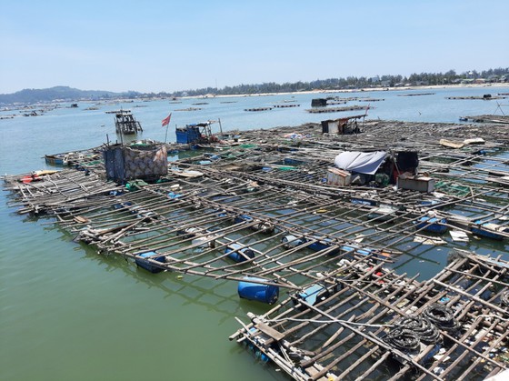 Nuôi trồng thủy sản Quảng Ngãi đối mặt nhiều khó khăn do dịch Covid-19