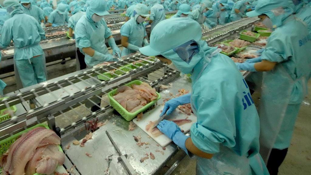 VASEP ‘tố’ quy định kiểm dịch làm khó thủy sản nhập khẩu chế biến thực phẩm