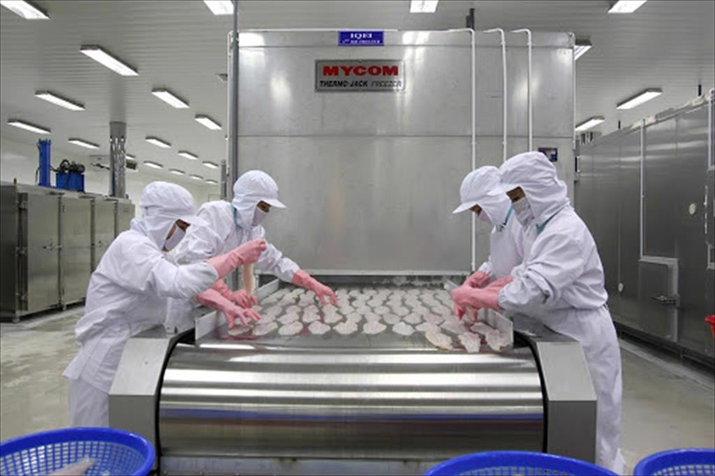 Doanh nghiệp chế biến thủy sản cần gì nhất lúc này?