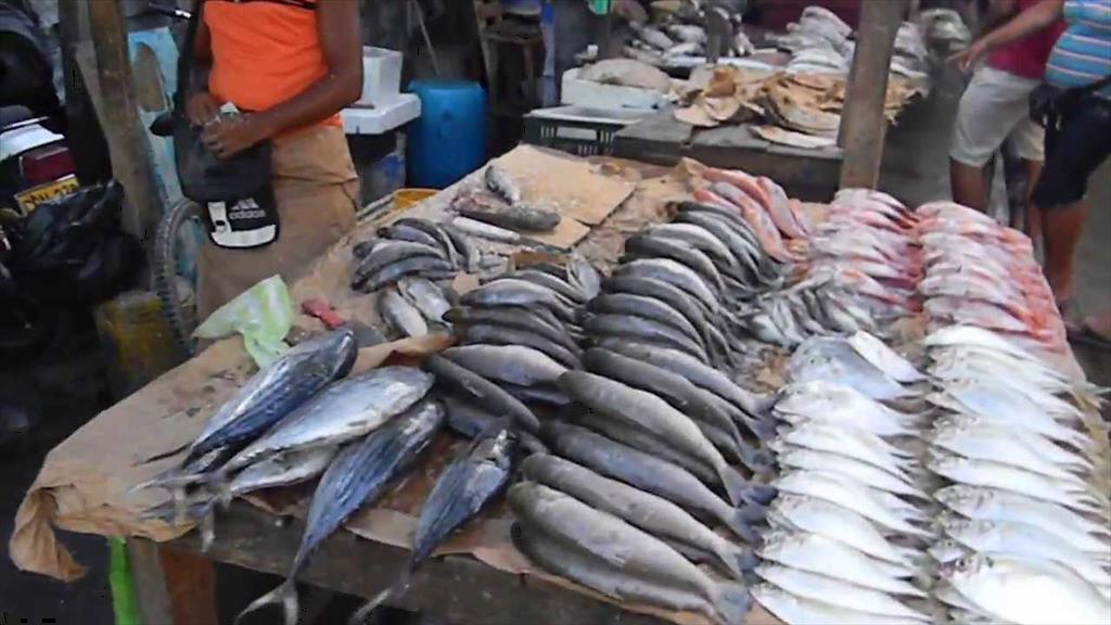 Colombia: Sản lượng nuôi trồng thủy sản tăng gấp ba lần từ năm 2010