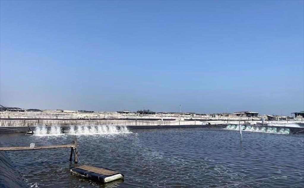 EU và Chính phủ Campuchia hợp tác đầu tư nuôi trồng thủy sản