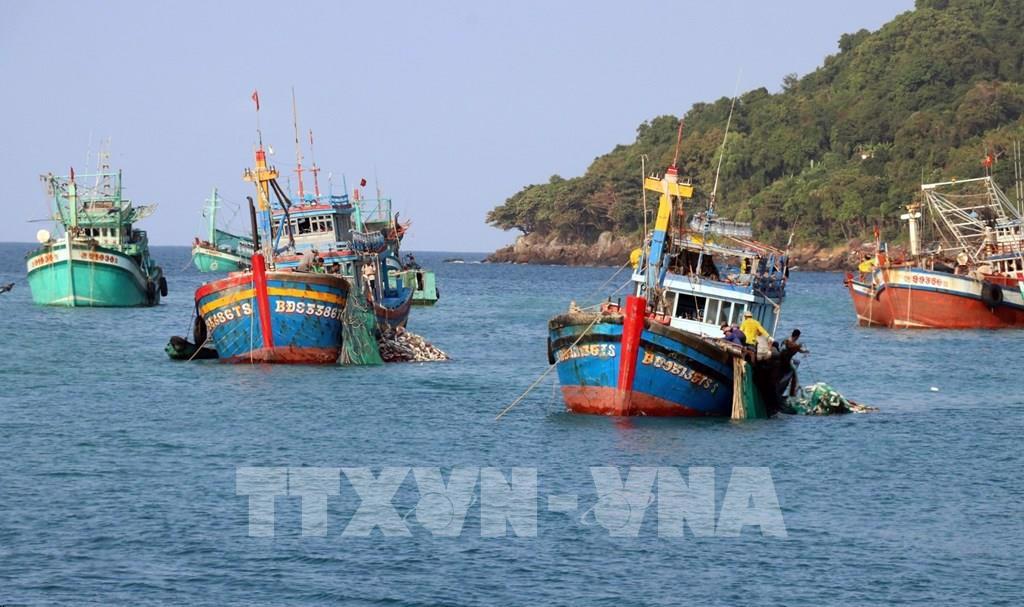 Kiên Giang mở đợt cao điểm kiểm tra hoạt động khai thác thủy sản