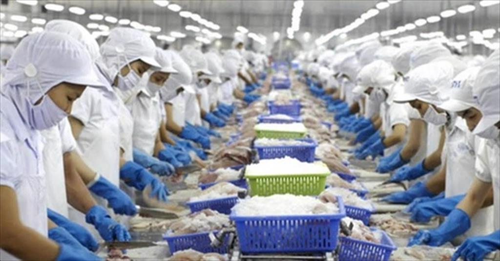 Vĩnh Hoàn: Doanh thu xuất khẩu 6 tháng tăng 15%, xuất sang Mỹ tăng hơn 48%