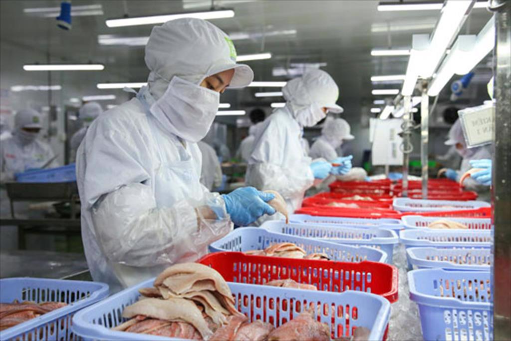 SAIGON FOOD JSC: Dừng hoạt động 2 nhà máy làm nơi ở dã chiến cho 400 công nhân