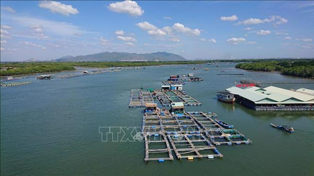 Bà Rịa-Vũng Tàu phát huy thế mạnh nuôi trồng thủy sản