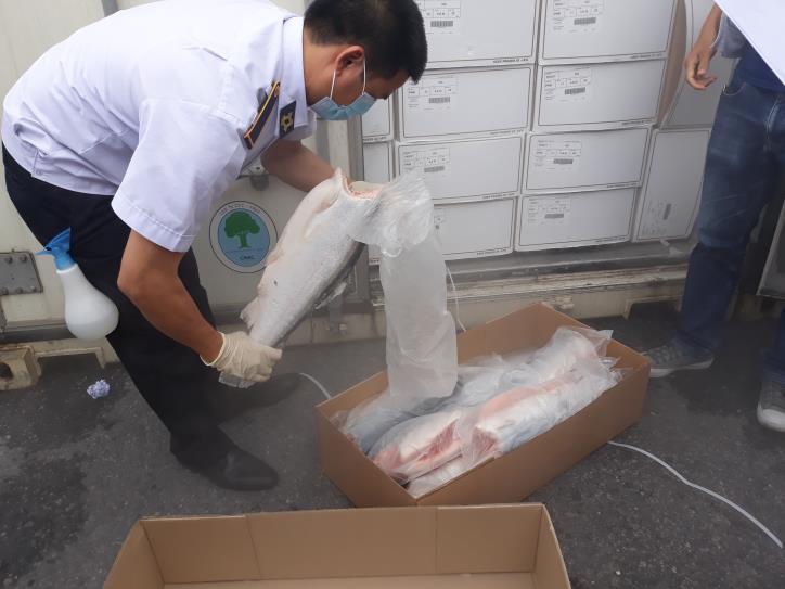 Infographic: 7 lý do cần sửa đổi danh mục kiểm dịch nhập khẩu