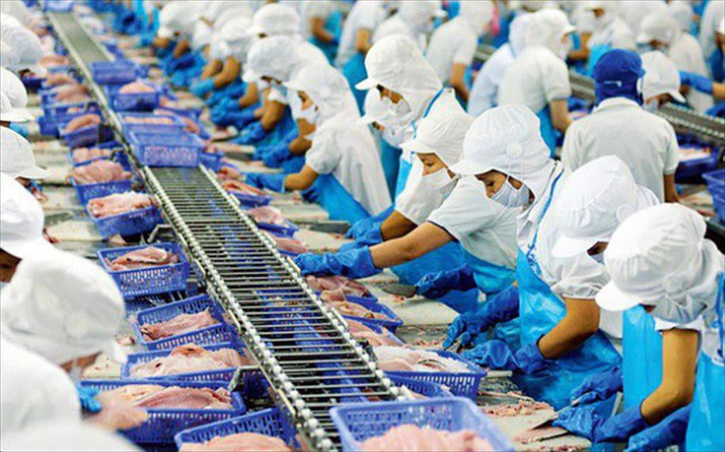 Vinh Hoan Corp: Export revenue in 6 months increased by 15%