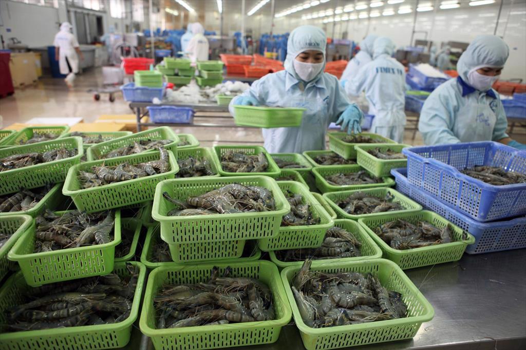 Doanh nghiệp đầu tư dự án nuôi trồng thủy sản được hỗ trợ 15 tỉ đồng