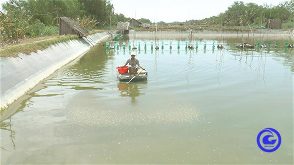 Tân Phú Đông phát triển phong trào nuôi thủy sản