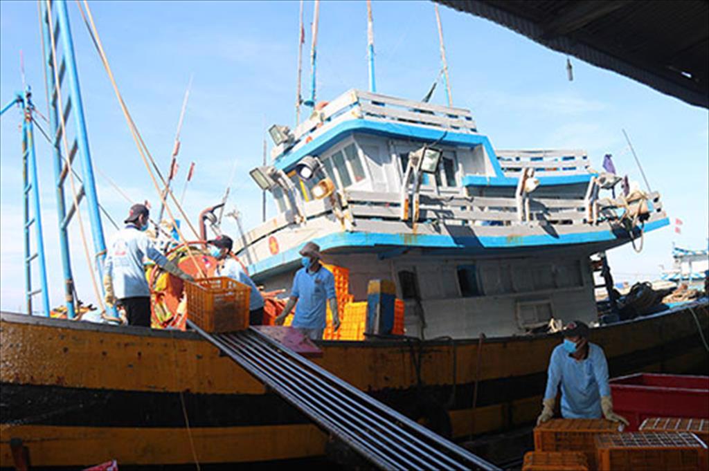 Nỗi lo đầu ra cho hải sản