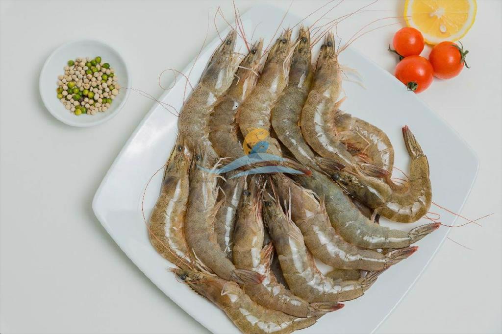 Tôm Ấn Độ tiếp tục chất đống tại các cảng của Trung Quốc