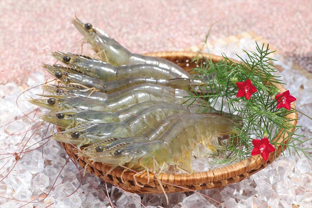 Vietnam shrimp exports reached over 1.7 billion USD in the first half of the year 