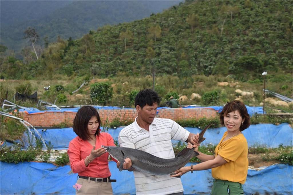 Nuôi trồng thủy sản cần những biện pháp phòng, chống dịch bệnh