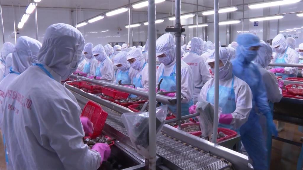 Phòng, chống dịch tại công ty chế biến thủy sản
