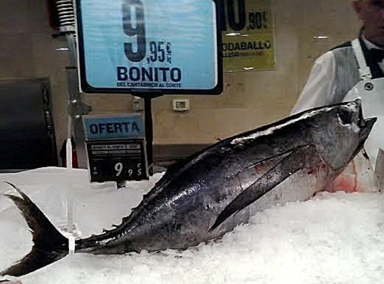 OPAGAC hối thúc EU đưa ra tiêu chuẩn đối với cá ngừ nhập khẩu