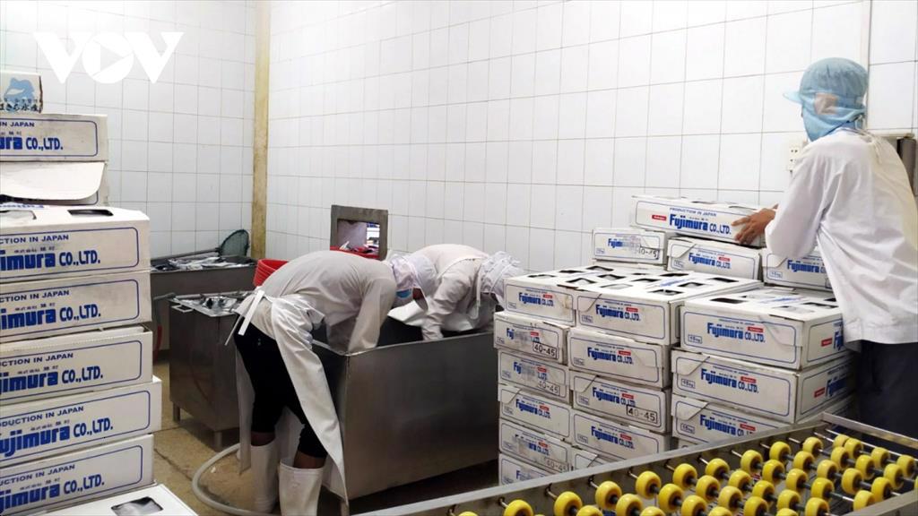 Chi phí logistics tăng vọt, doanh nghiệp xuất khẩu thủy sản lo thua lỗ