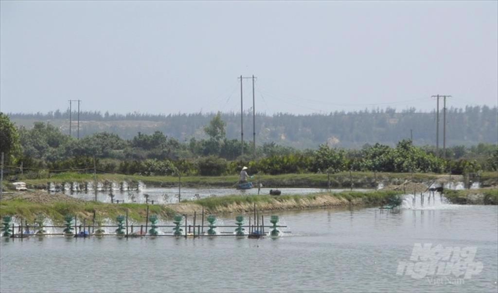 Quan trắc môi trường giúp người nuôi tôm tránh được rủi ro