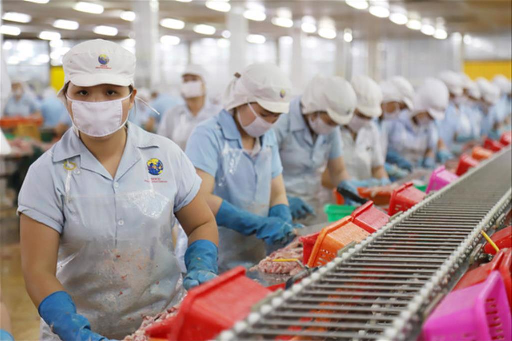 VASEP kiến nghị lên Thủ tướng giải pháp 