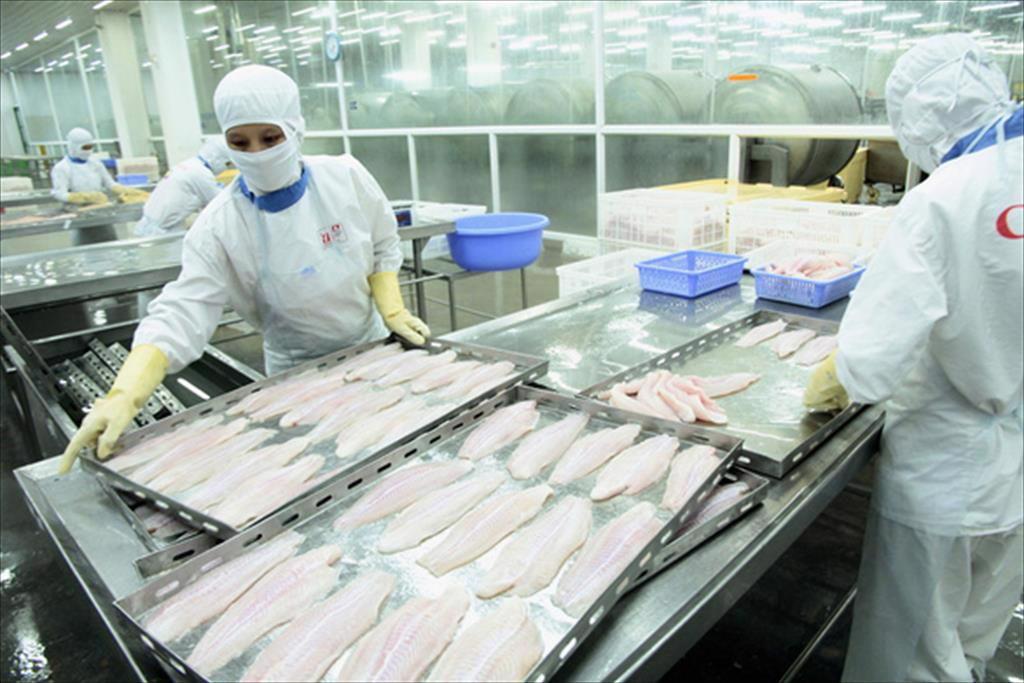Chế biến thủy sản giảm 60-70%, Bộ Nông nghiệp đề nghị ưu tiên tiêm vắc xin cho 100% công nhân