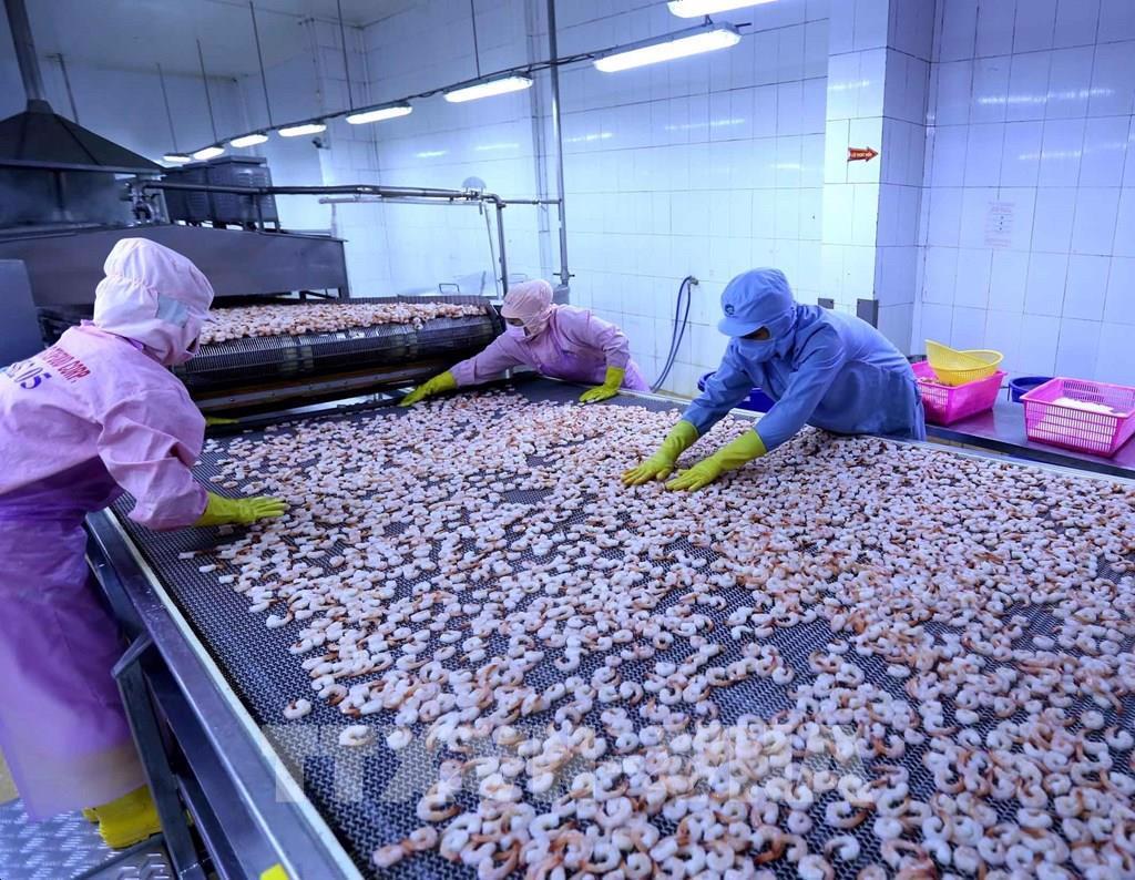 Bộ NNPTNT kiến nghị tiêm vaccine Covid-19 cho 100% công nhân nhà máy chế biến nông, thủy sản