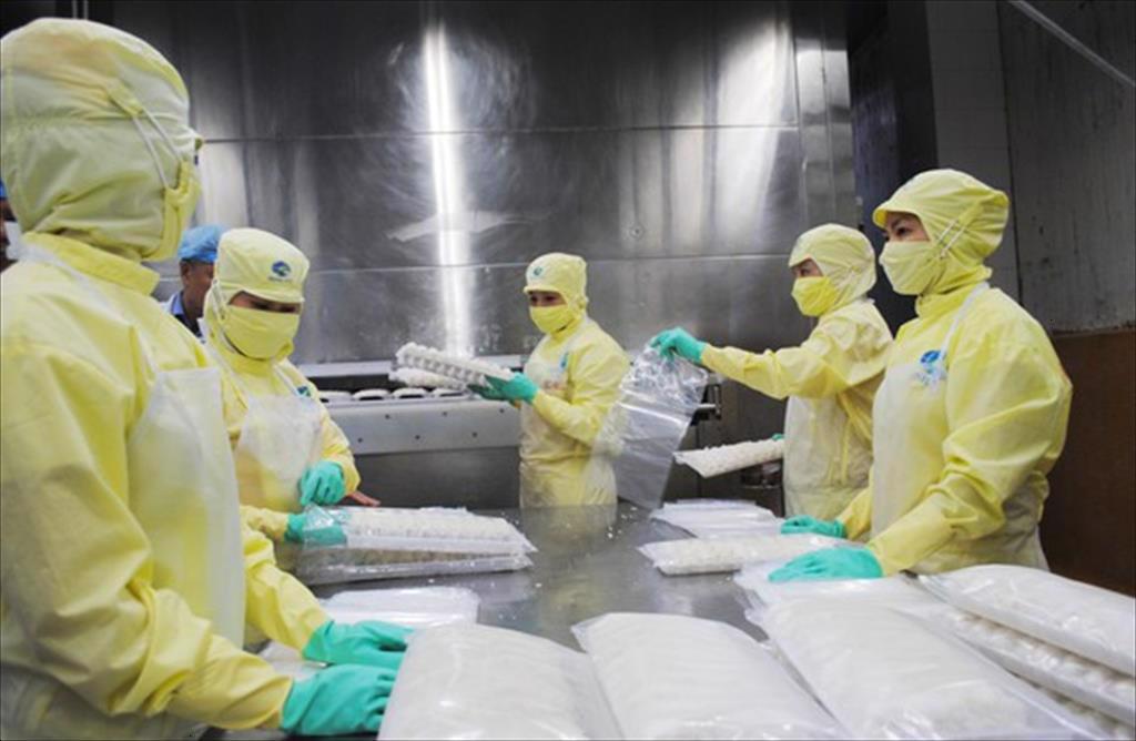 Duy trì lợi thế ngành tôm