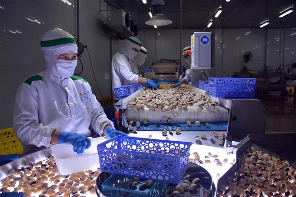 Xuất khẩu thủy sản vẫn là điểm sáng