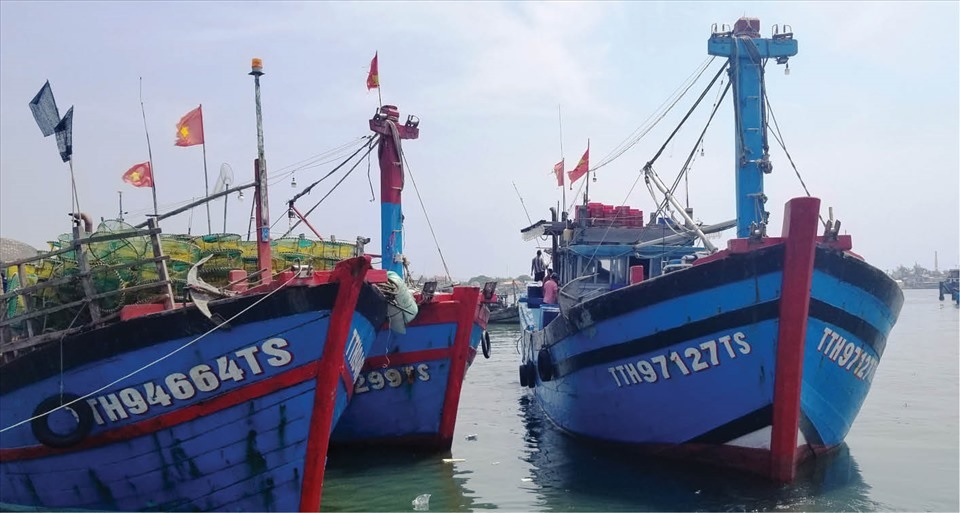 Cần giải pháp hiệu quả sớm khắc phục thẻ vàng IUU, hỗ trợ nghề cá bền vững