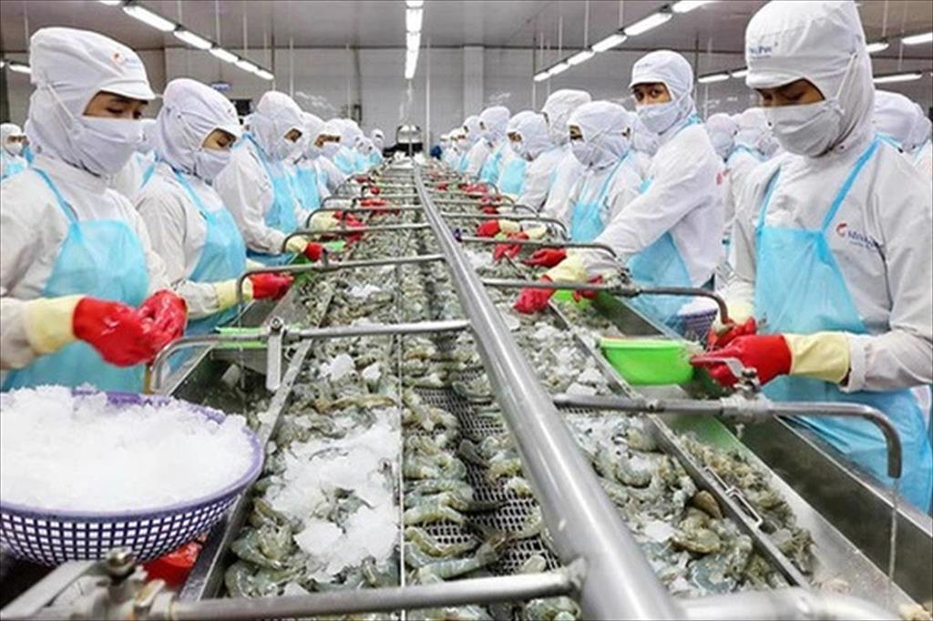 Biến thể Delta, cước tàu và thức ăn nuôi thủy sản leo thang: 3 quả tạ cùng lúc đè nặng ngành thủy sản