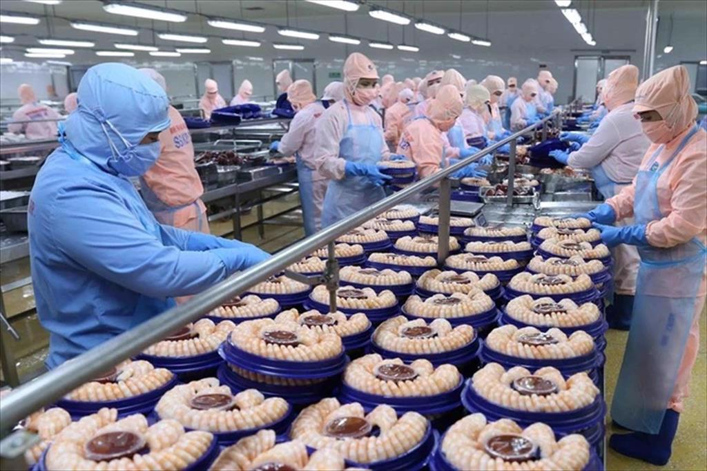 Khó khăn liên hoàn, ngành thủy sản có nguy cơ mất thị trường xuất khẩu?