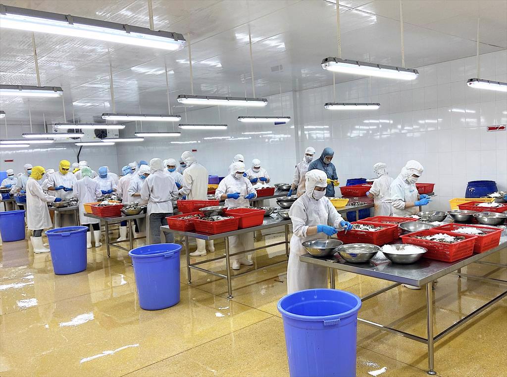 Cà Mau: Doanh nghiệp thuê khách sạn 5 sao cho công nhân ở để làm việc và phòng dịch