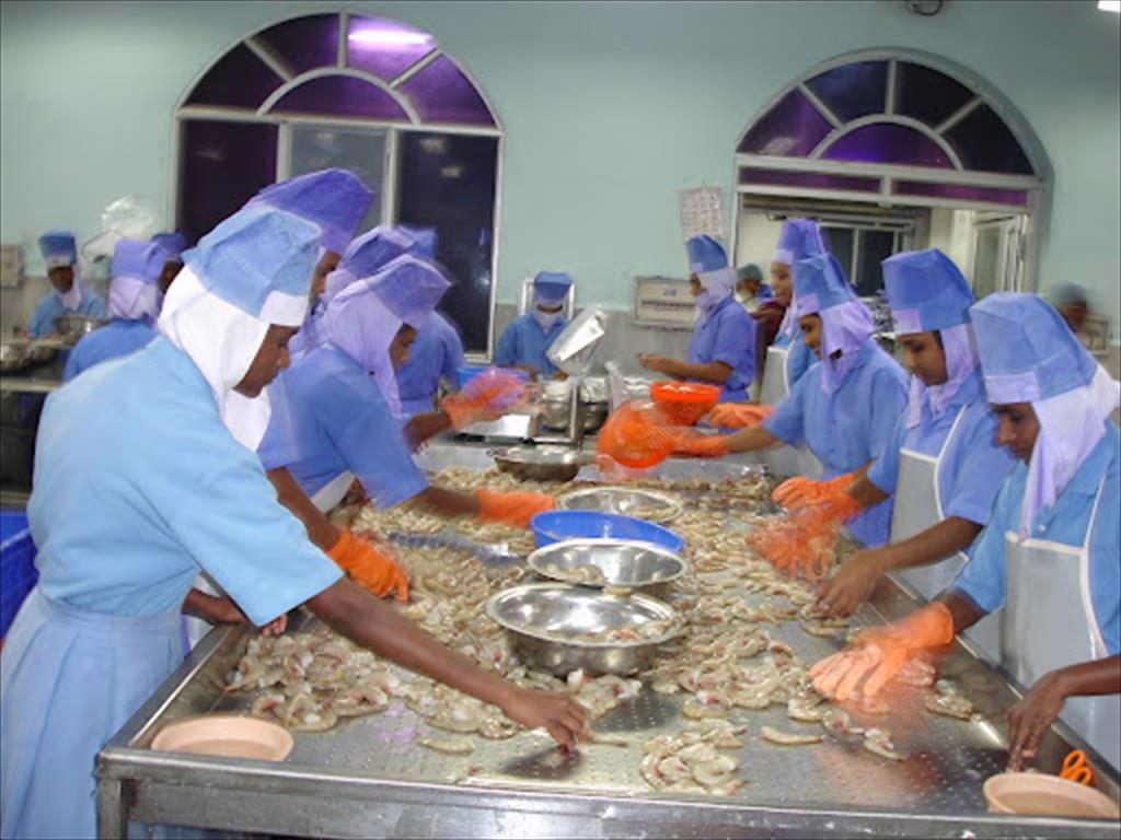 Các nhà xuất khẩu thủy sản Ấn Độ bắt đầu rời bỏ Trung Quốc để thâm nhập thị trường mới