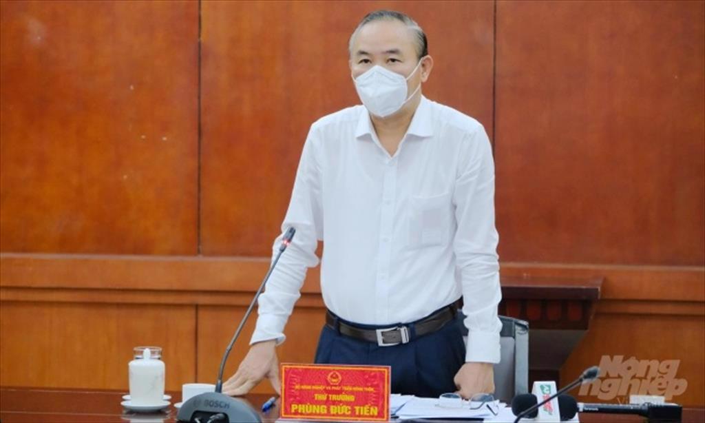 Đảm bảo sản xuất, sẵn sàng tiếp ứng cho miền Nam