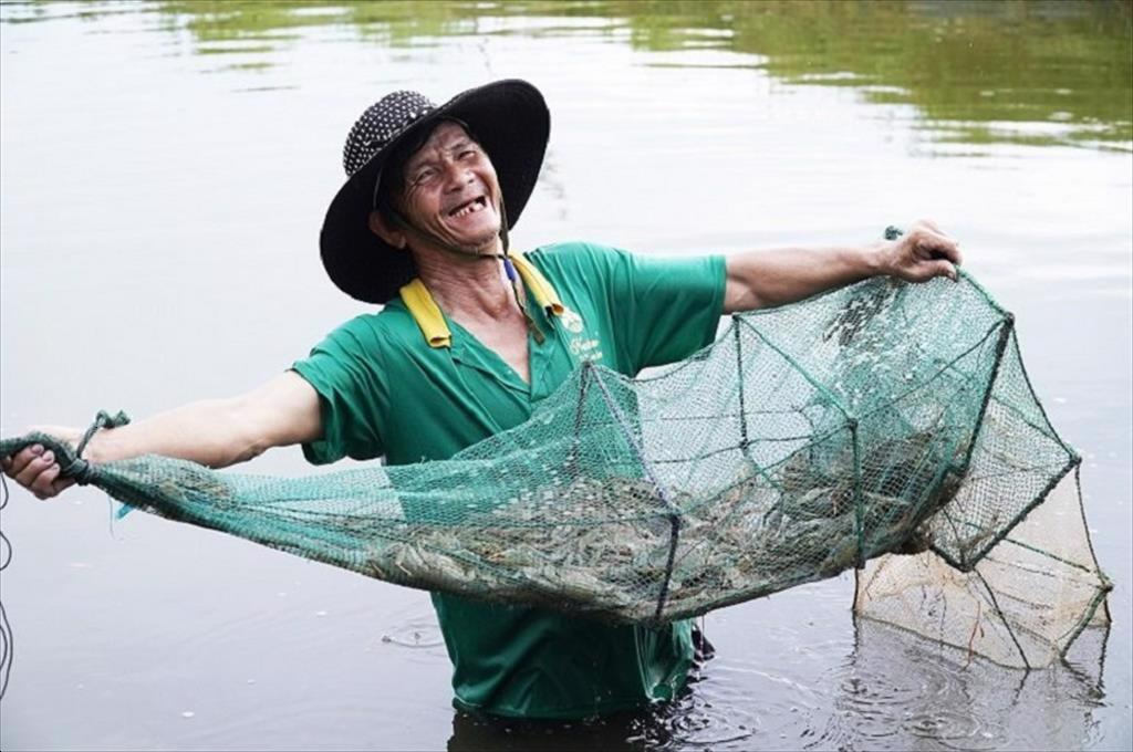 Quảng Ngãi: Giúp người nuôi tôm vượt qua cơn “khủng hoảng” vì dịch bệnh