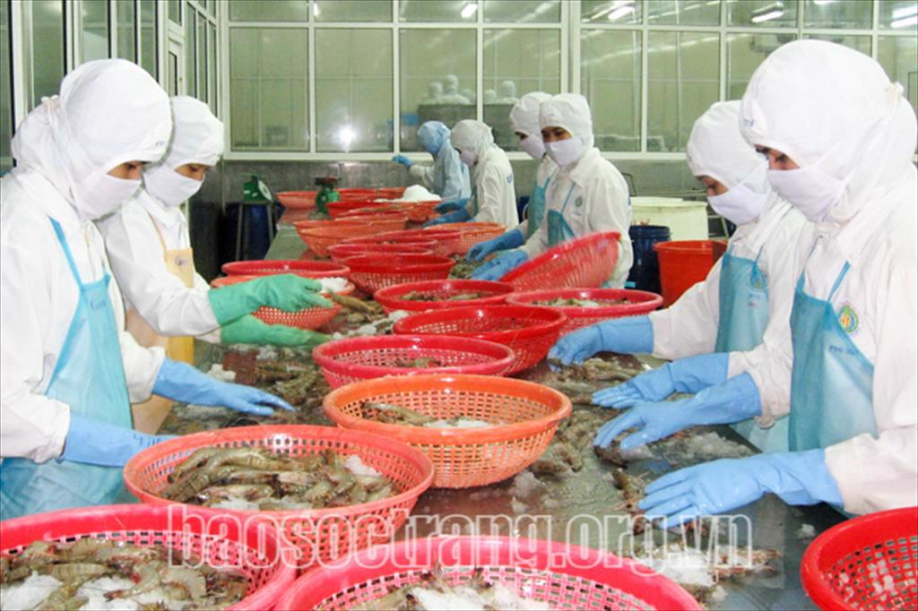 Vắc xin cho doanh nghiệp