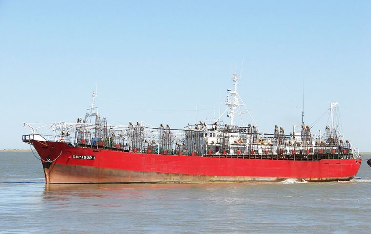 Argentina: Sản lượng khai thác mực ống illex giảm