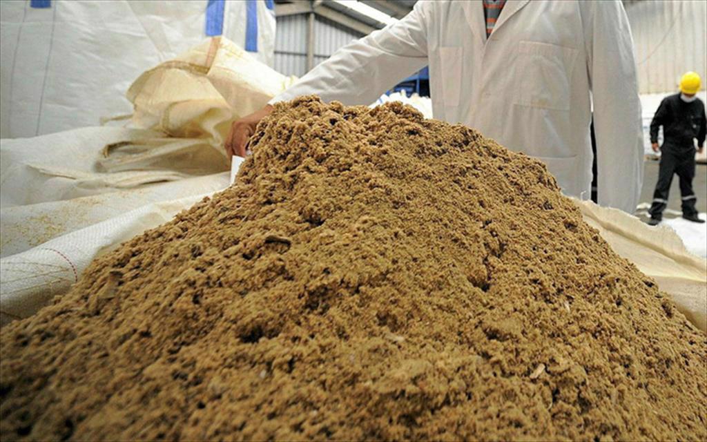 Trung Quốc tăng nhập khẩu bột cá trong tháng 62021