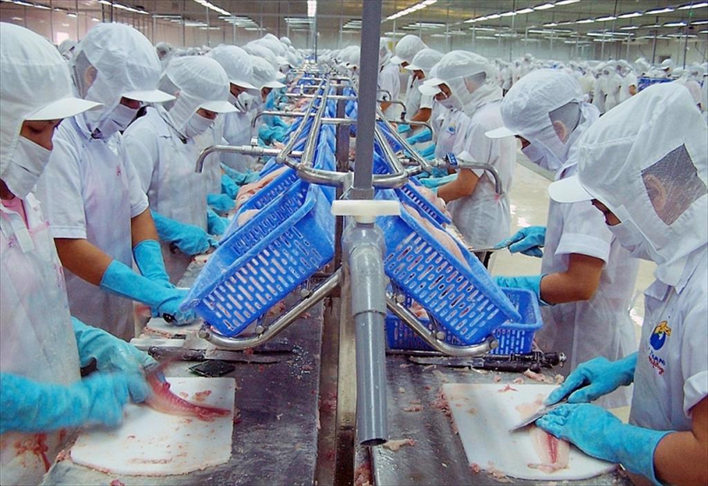 VASEP: Đề nghị tỉnh Hậu Giang ưu tiên tiêm vắc-xin phòng dịch Covid-19 cho người lao động doanh nghiệp thủy sản