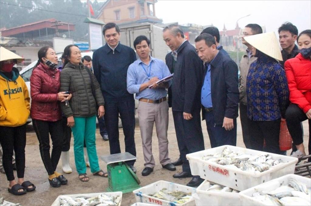 Thủy sản Nghệ An nỗ lực thoát 