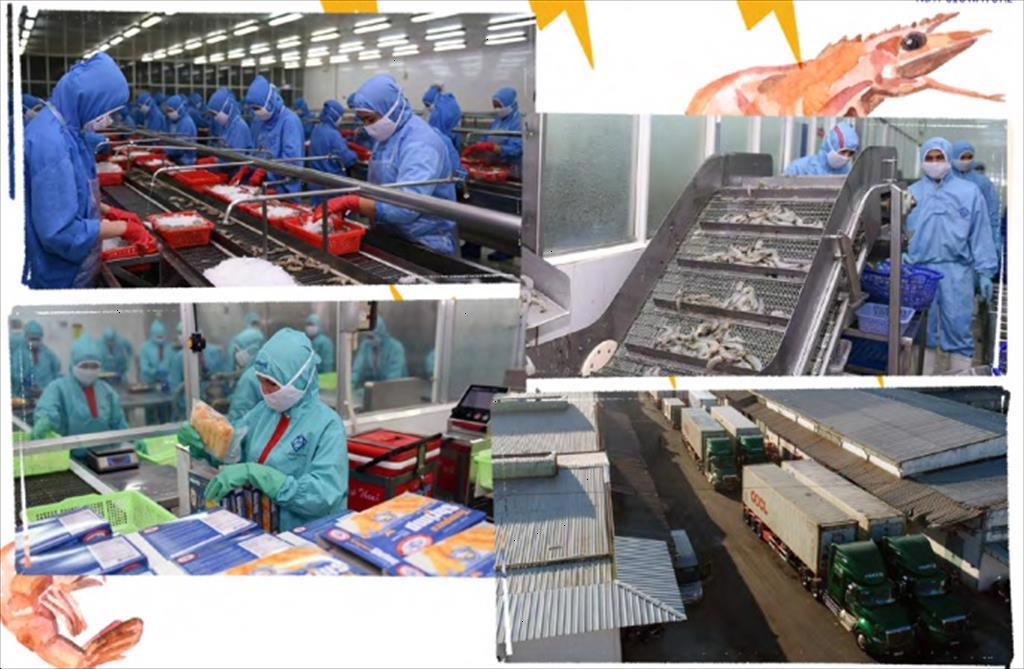 Tỉnh Sóc Trăng tôi phòng chống dịch Covid 