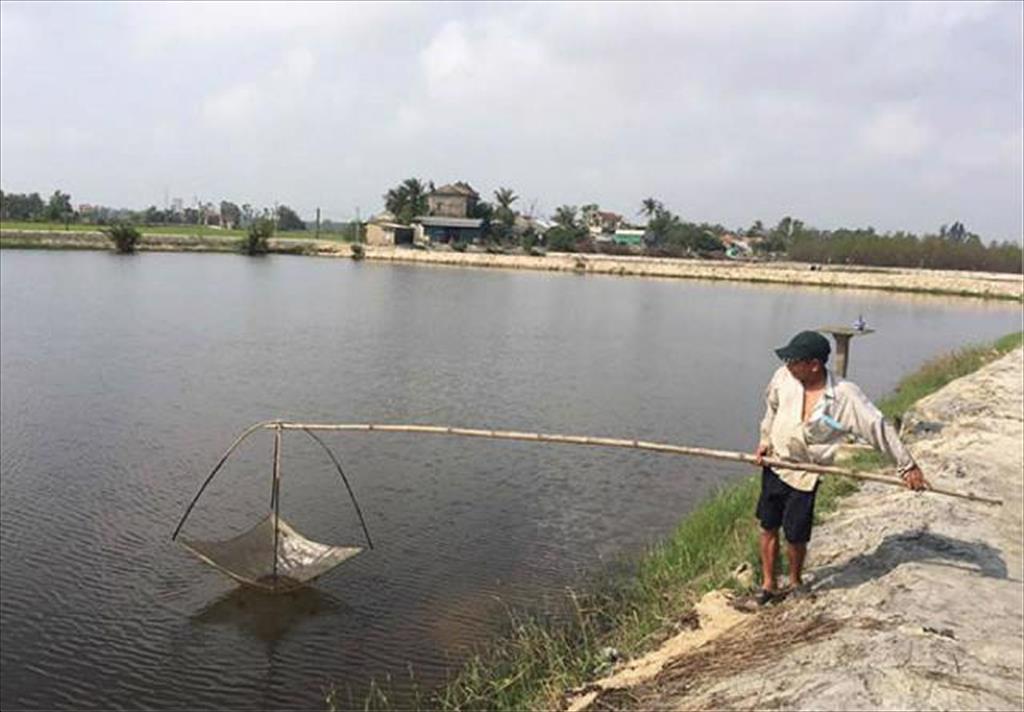 Hướng đến nuôi thủy sản theo chuỗi giá trị