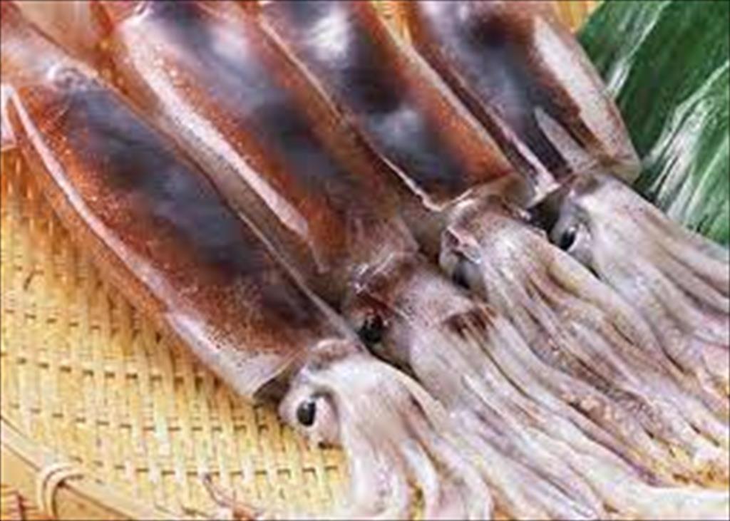 Mỹ: Nhập khẩu mực ống từ Trung Quốc tăng trong tháng 6/2021