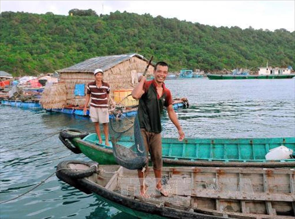 Khuyến khích đầu tư phát triển nuôi biển