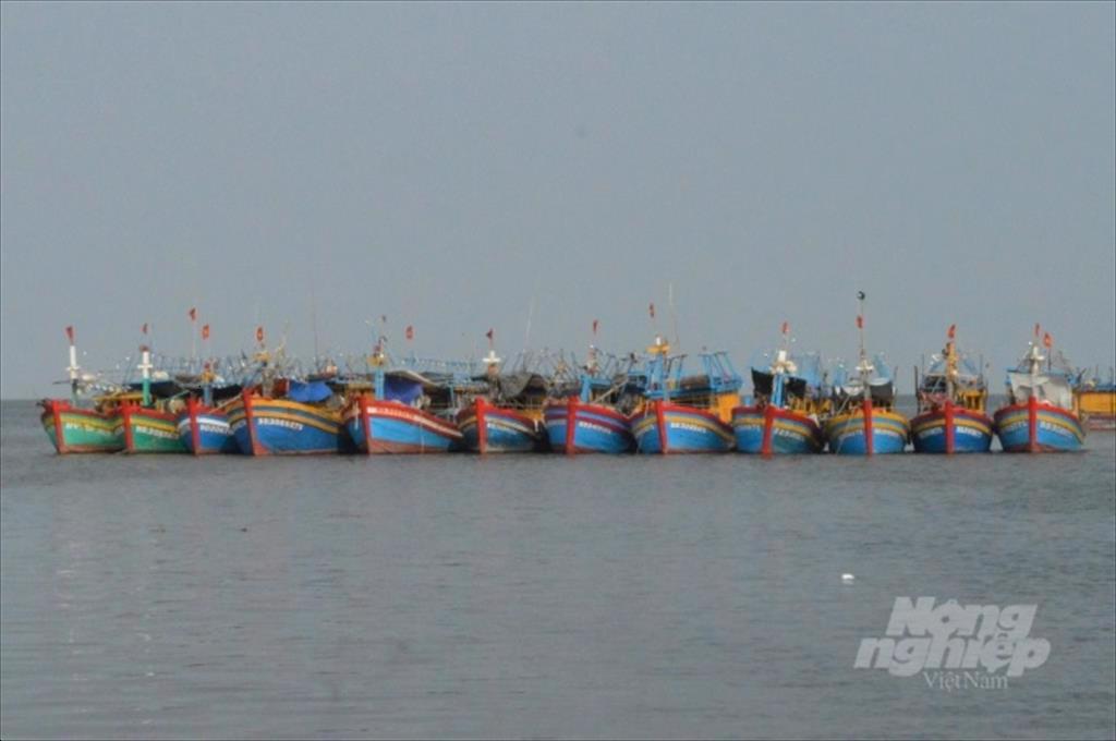 Kiên Giang tập trung phát triển kinh tế biển theo hướng bền vững