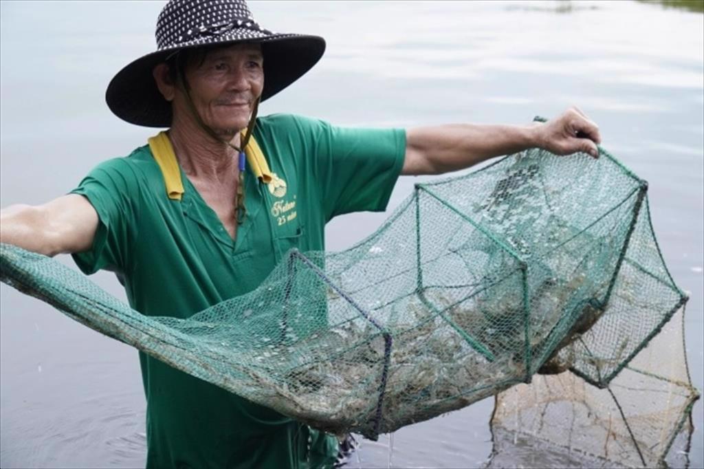 Hiệu quả nuôi xen ghép nhiều loại thủy sản