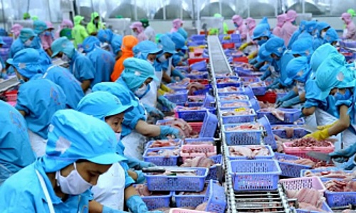 Đài Loan cập nhật Danh sách doanh nghiệp thủy sản được phép xuất khẩu vào Đài Loan