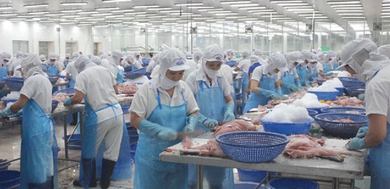 Tăng “sức chiến đấu” cho chế biến thủy sản