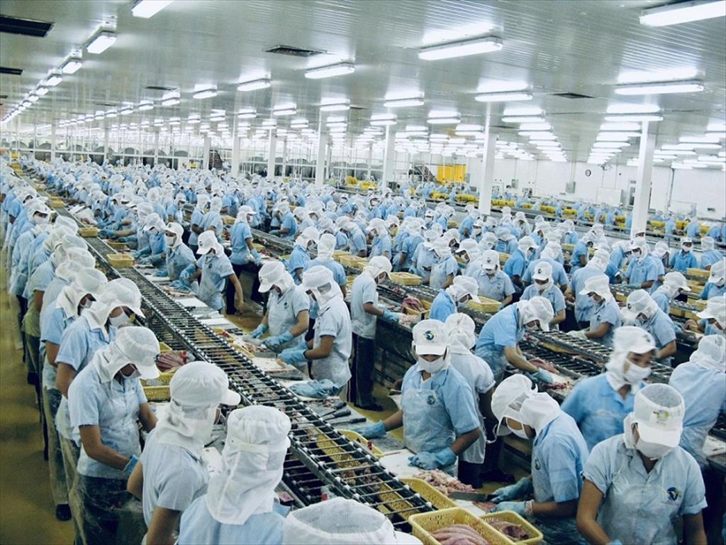 Doanh nghiệp thủy sản đuối sức, lo mất thị trường