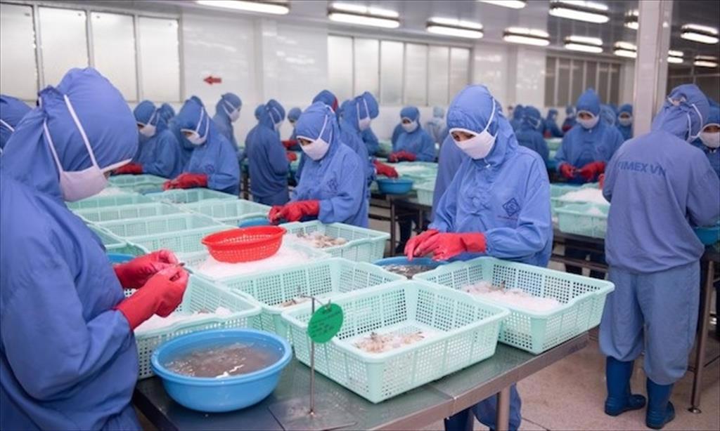 Doanh nghiệp chế biến, bảo quản thủy sản được giảm 10% tiền điện trong 3 tháng