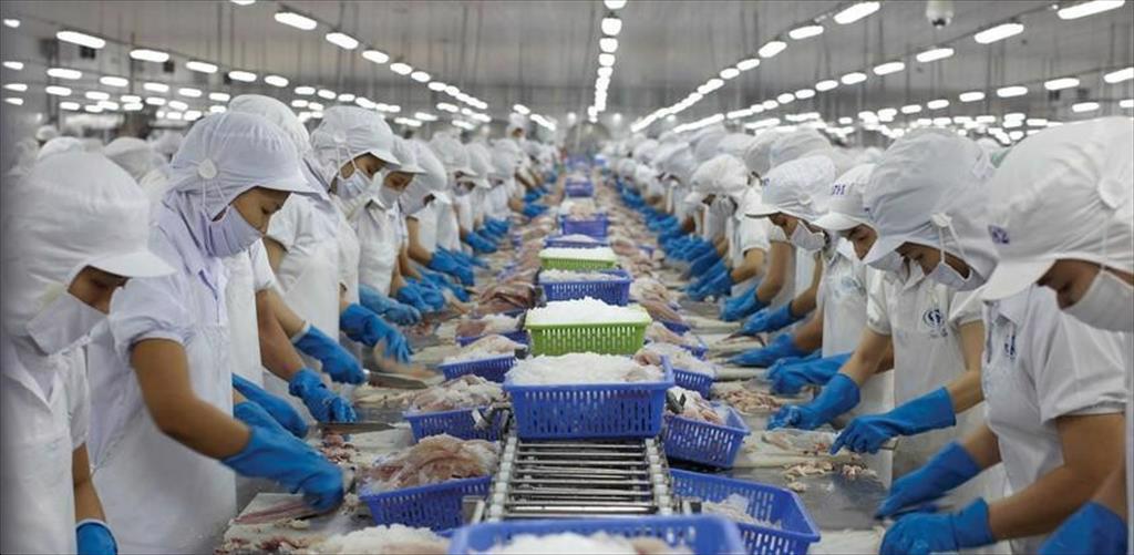 Con gái "nữ hoàng cá tra" Trương Thị Lệ Khanh được bổ nhiệm làm Giám đốc chiến lược của Vĩnh Hoàn